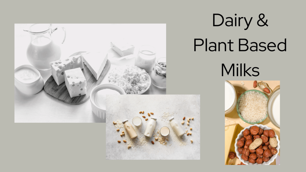 plants made into dairy alternatives