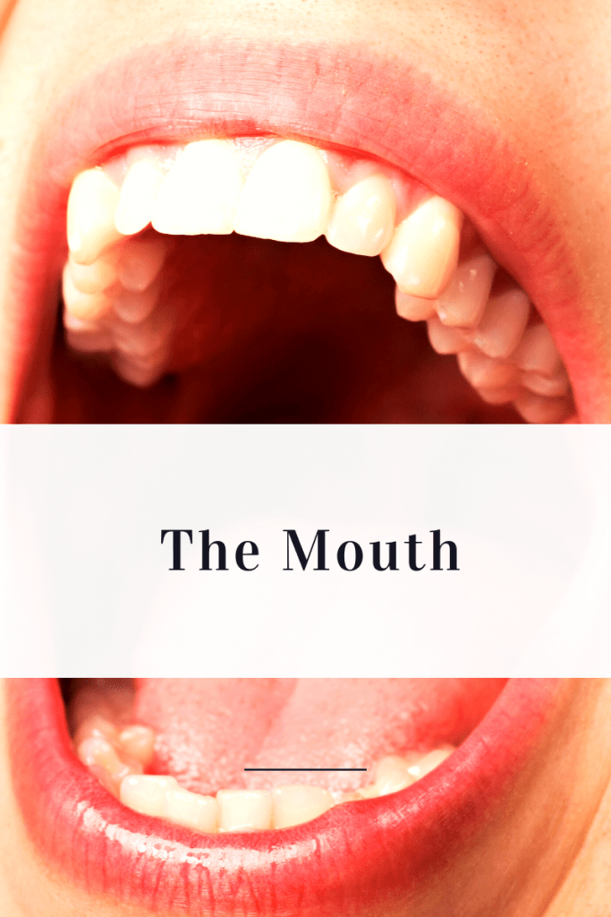 Picture of a mouth